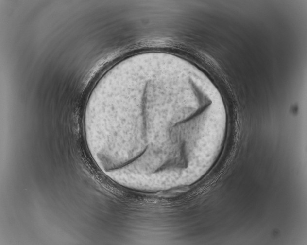 X0000115381218200912011157