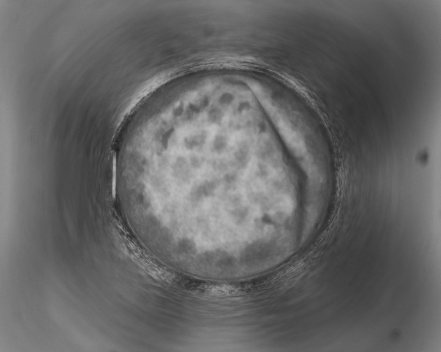 X0000115381219200912011157