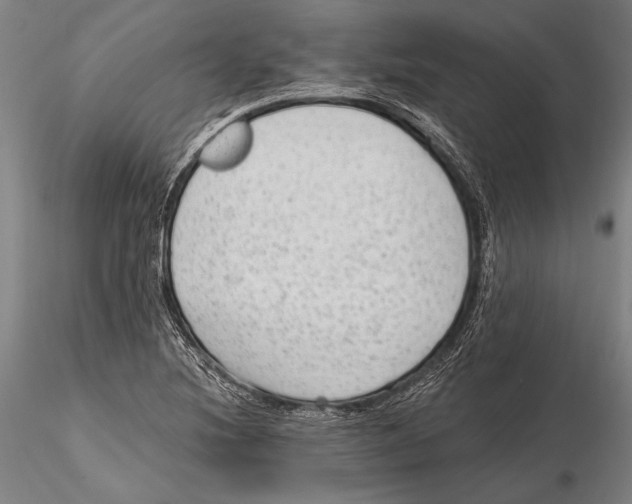 X0000115381220200912011157