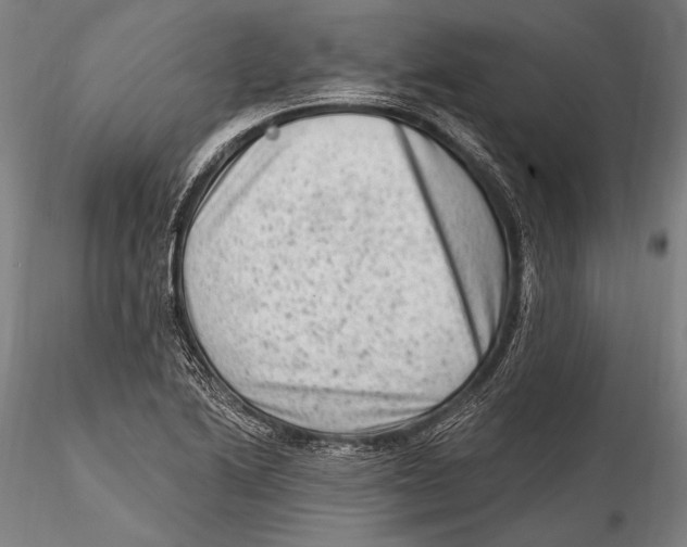 X0000115381222200912011157