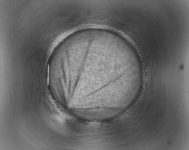 X0000115381223200912011157