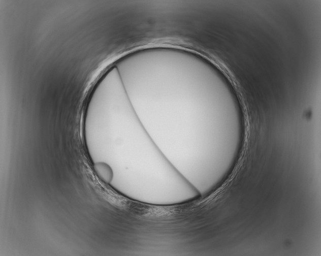 X0000115381224200912011157