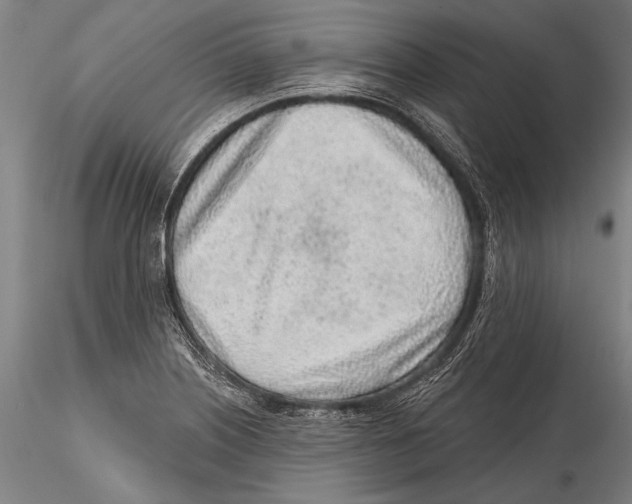 X0000115381226200912011157