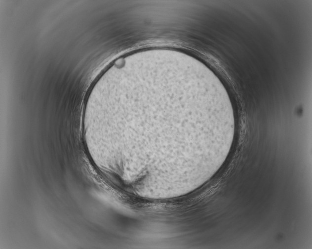 X0000115381228200912011157