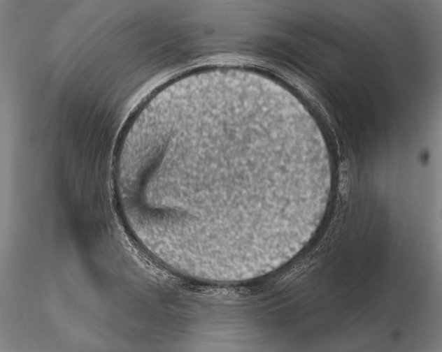 X0000115381229200912011157