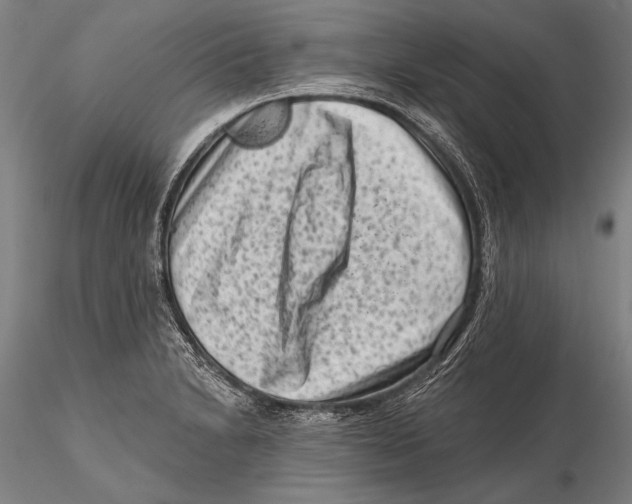 X0000115381230200912011157