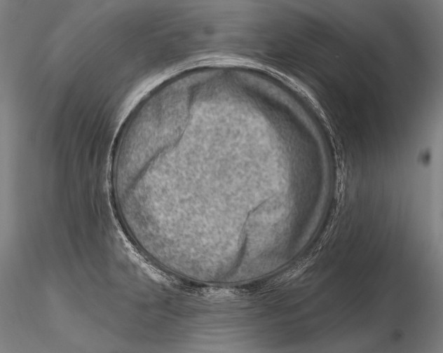 X0000115381231200912011157