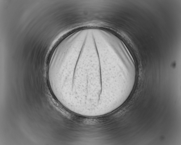 X0000115381232200912011157