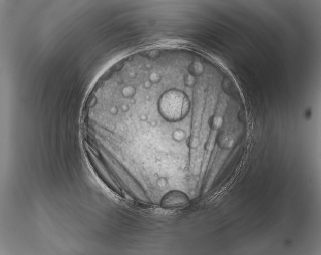 X0000115381235200912011158