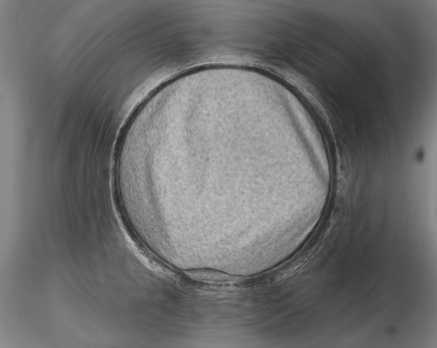 X0000115381237200912011158