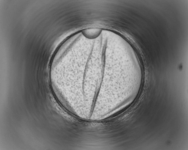 X0000115381238200912011158