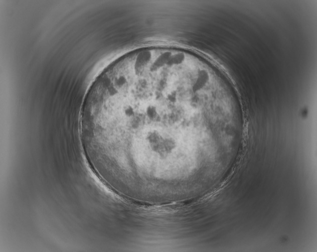 X0000115381239200912011158