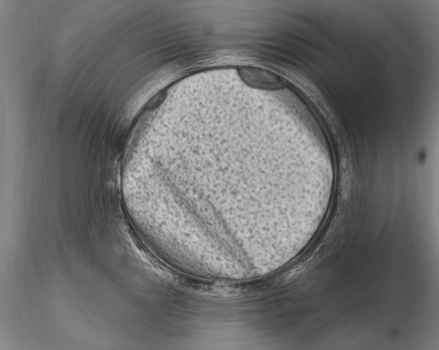 X0000115381241200912011158