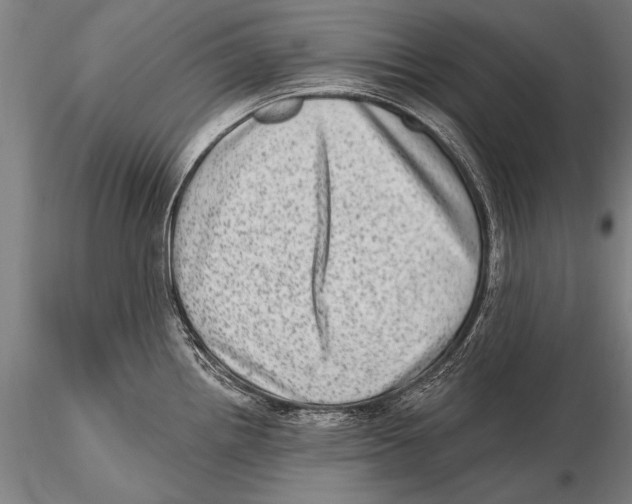 X0000115381242200912011158