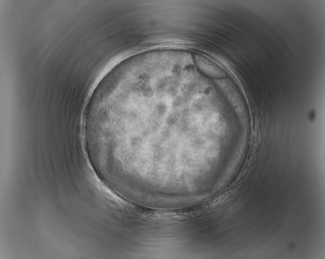 X0000115381243200912011158