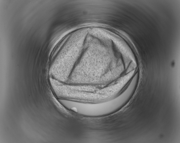 X0000115381244200912011158