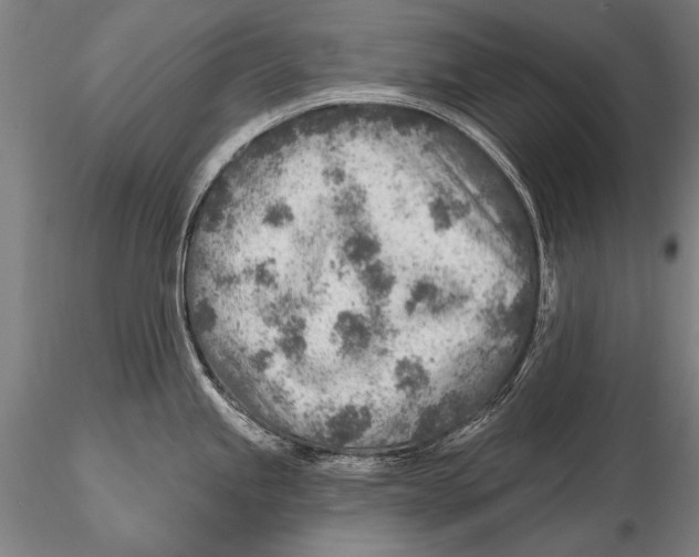 X0000115381245200912011158