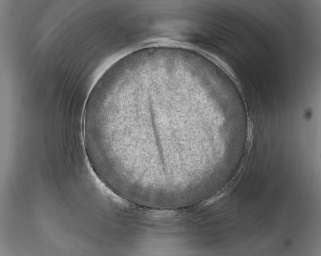 X0000115381247200912011158