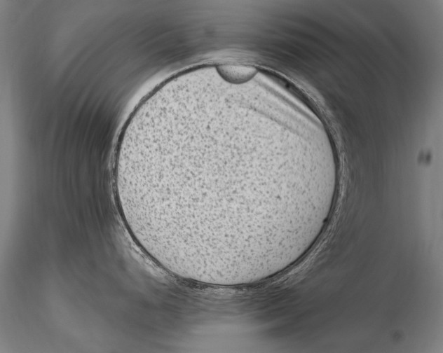 X0000115381248200912011158