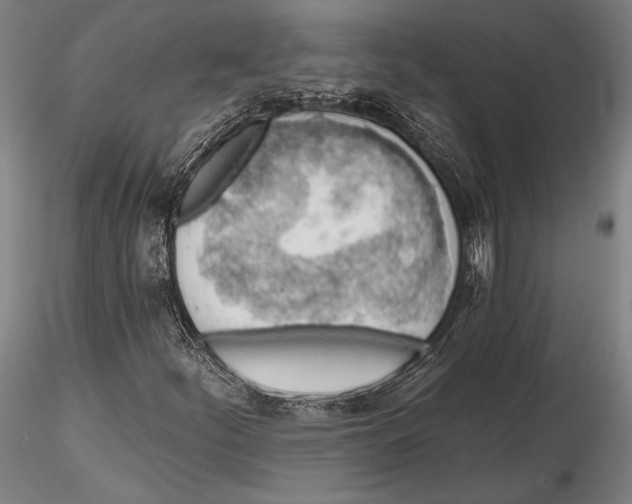 X0000115381252200912011157