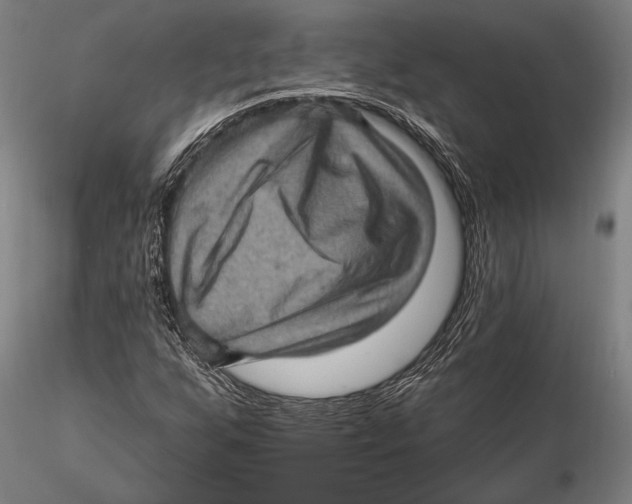 X0000115381255200912011157