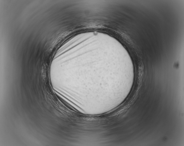 X0000115381257200912011157