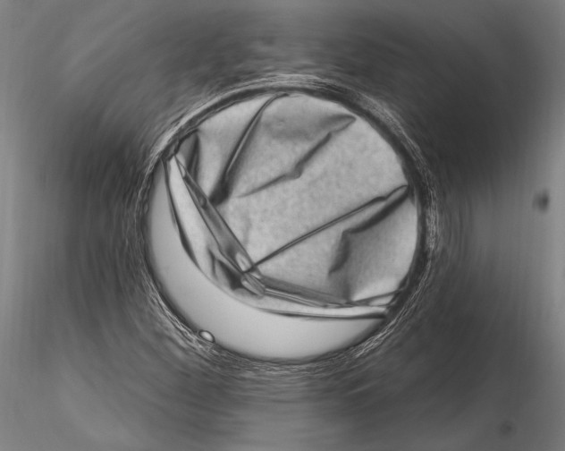 X0000115381260200912011157