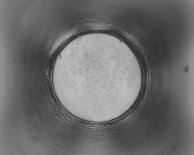 X0000115381261200912011157