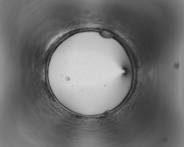 X0000115381262200912011157