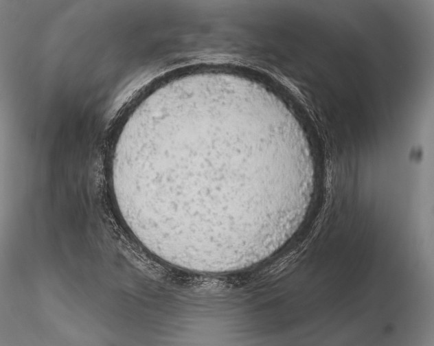 X0000115381263200912011157