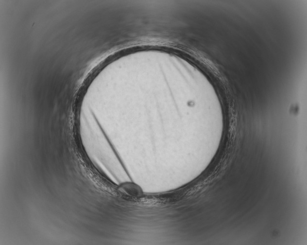 X0000115381264200912011157