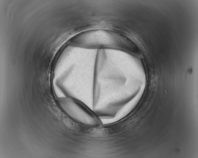 X0000115381268200912011157