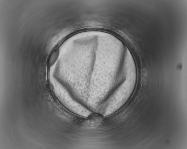 X0000115381269200912011157