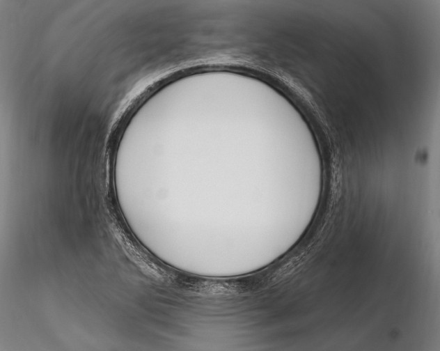 X0000115381270200912011157