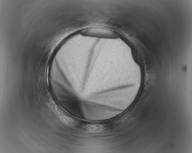 X0000115381272200912011157