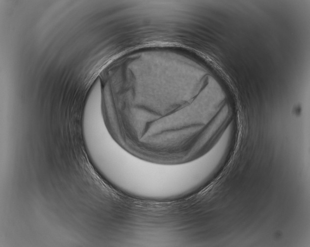 X0000115381273200912011157