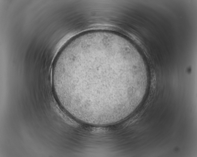 X0000115381275200912011157