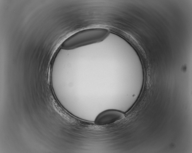 X0000115381276200912011157