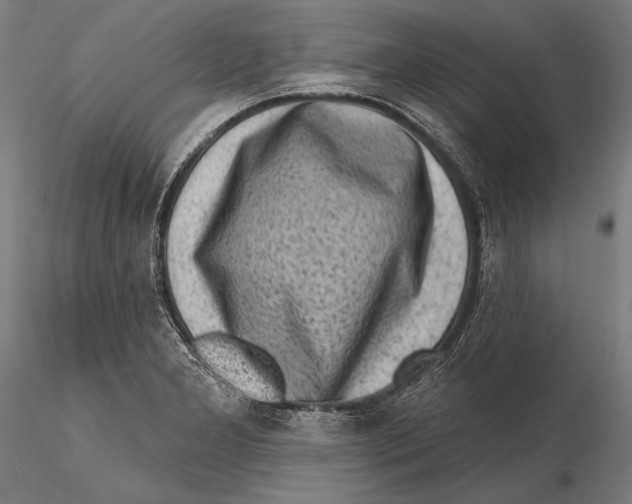 X0000115381277200912011156