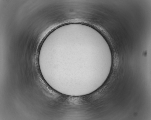 X0000115381278200912011156