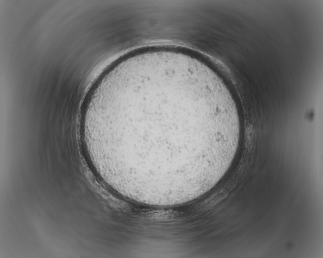 X0000115381279200912011156