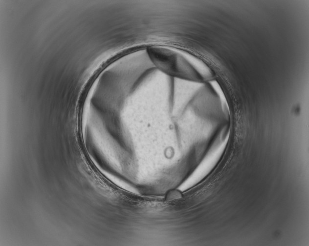 X0000115381280200912011156