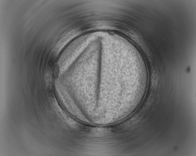 X0000115381281200912011156