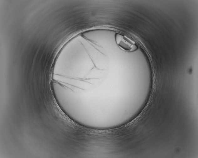 X0000115381284200912011156