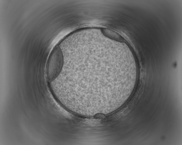 X0000115381285200912011156