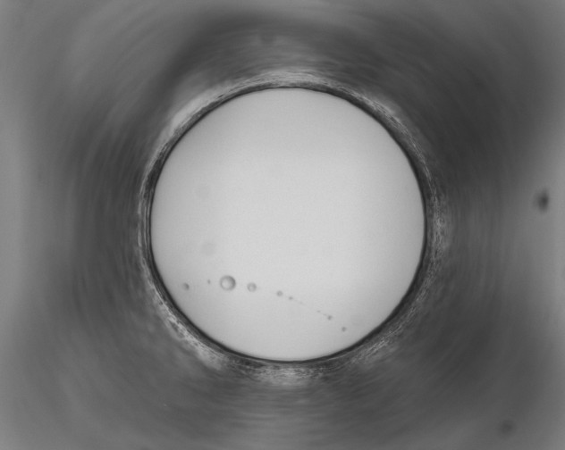 X0000115381286200912011156