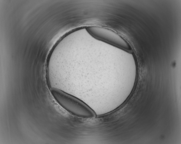 X0000115381288200912011156