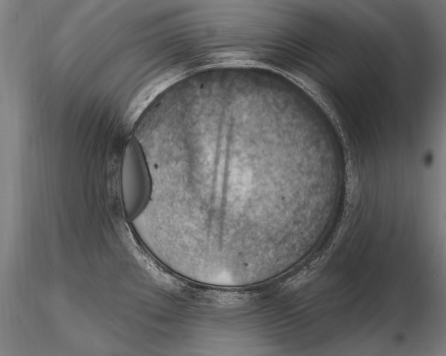 X0000115381289200912011156