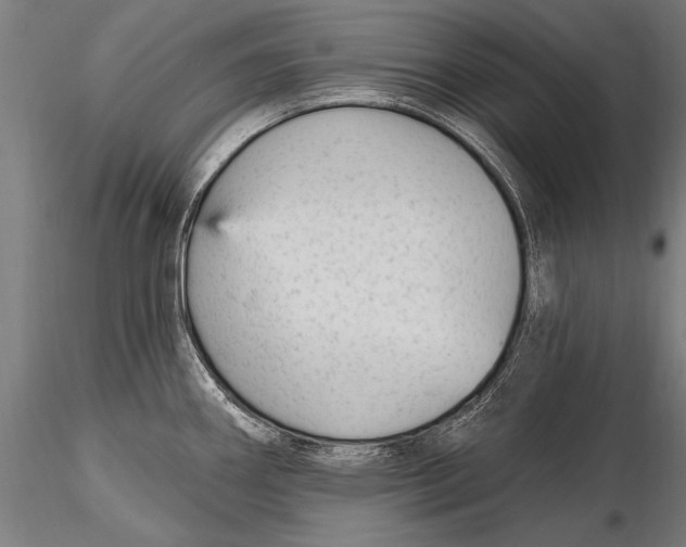 X0000115381290200912011156