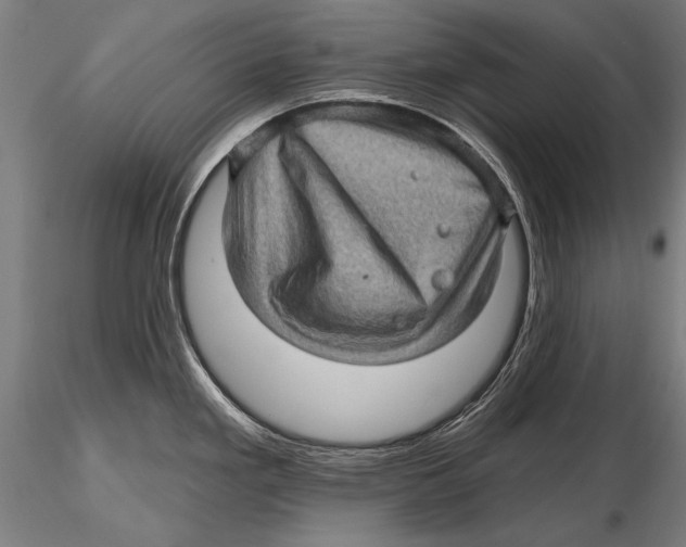 X0000115381293200912011156